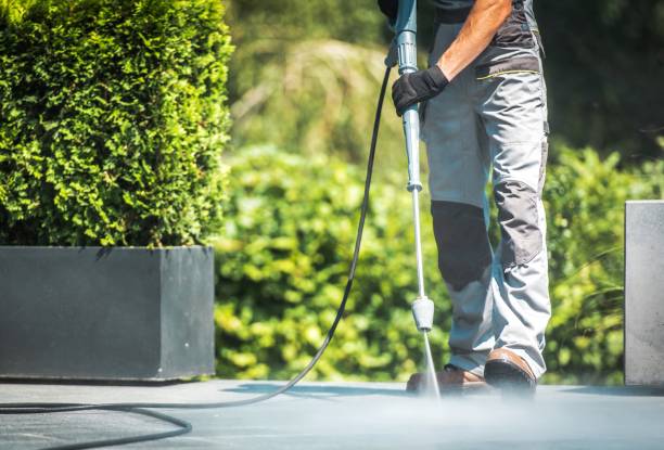 Best Gutter Cleaning  in Southmont, PA